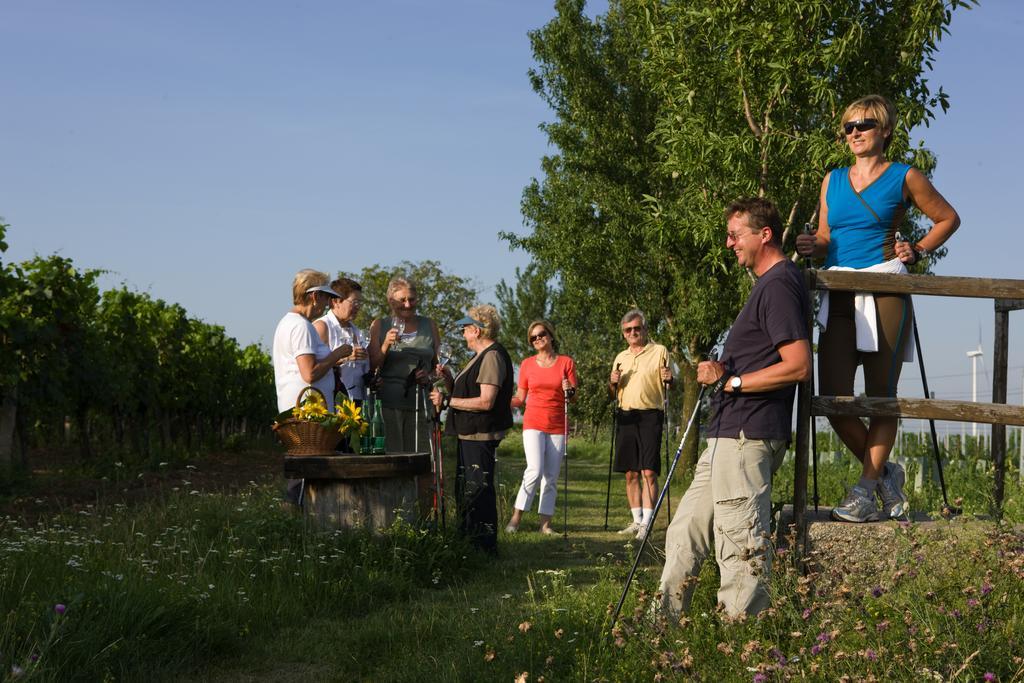 Birkenhof - - Wohlfuehl Mit Wochenend-restaurant 4* Gols