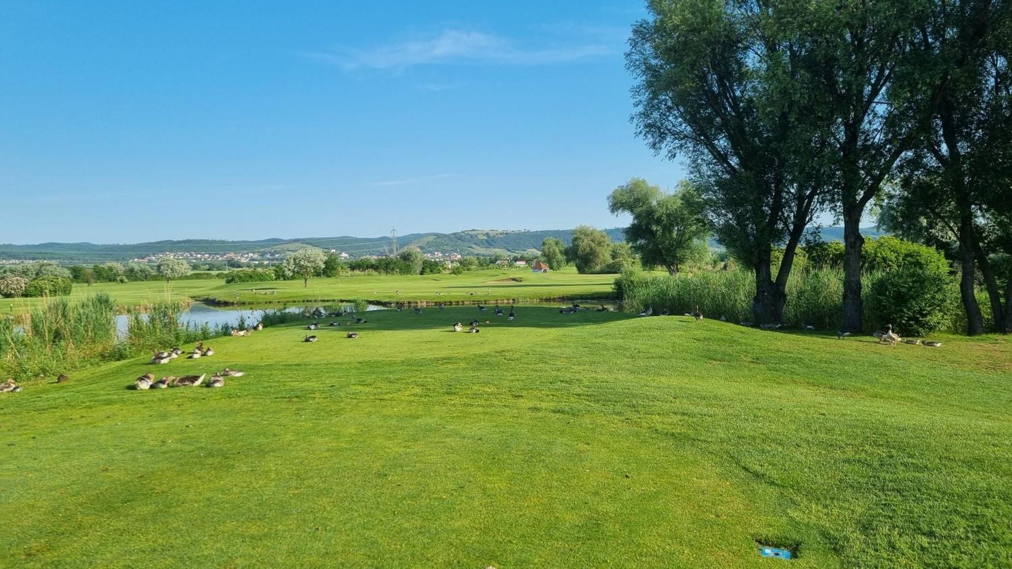 Birkenhof - - Wohlfuehl Mit Wochenend-restaurant 4*